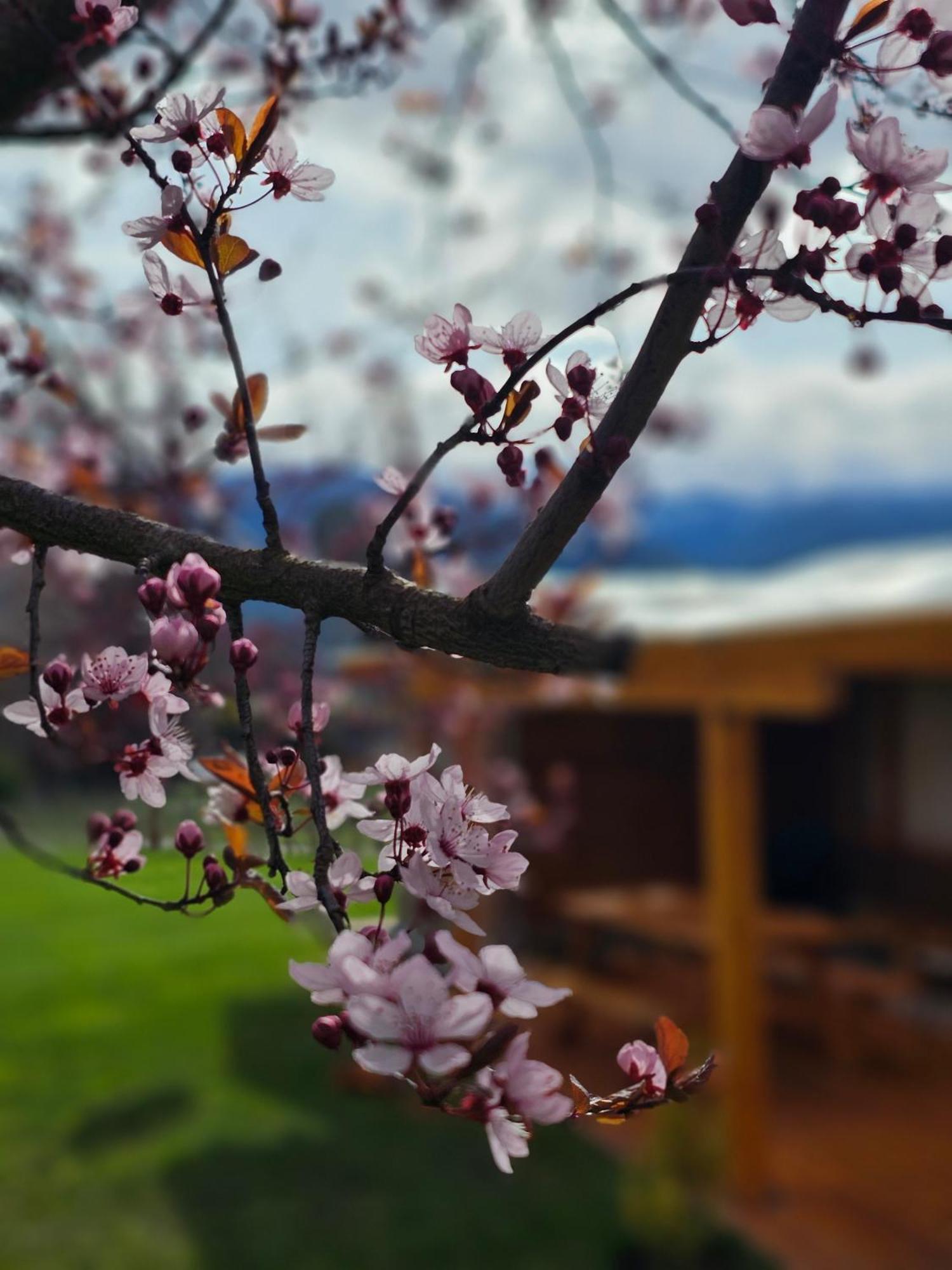 La Yaya - Villa Turismo El Bolsón Dış mekan fotoğraf
